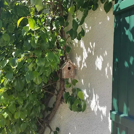 Vakantiehuis De La Roseraie